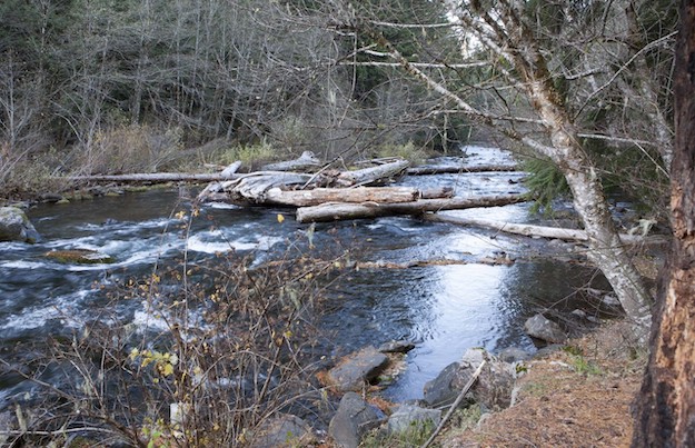 Photograph of the Clackamas River in winter. Some woody debris has piled up in the middle, creating wildlife habitat and slowing the river's current.