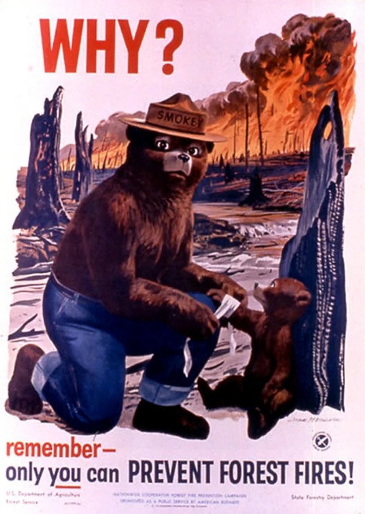 Faded-looking vintage poster showing Smokey the Bear, in a Forest Service hat and jeans bandaging a cub next to a burned snag in front of a forest that has been decimated by wildfire. The text above Smokey's head reads why? And below: remember only you can prevent forest fires.