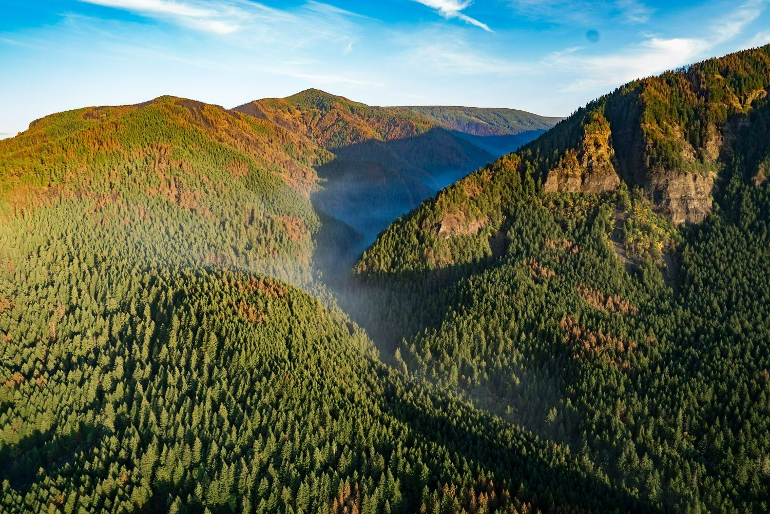 Image shows a mountain valley, the area of the Eagle Creek fire, covered in green and gold evergreen trees beneath a cloudy blue sky.