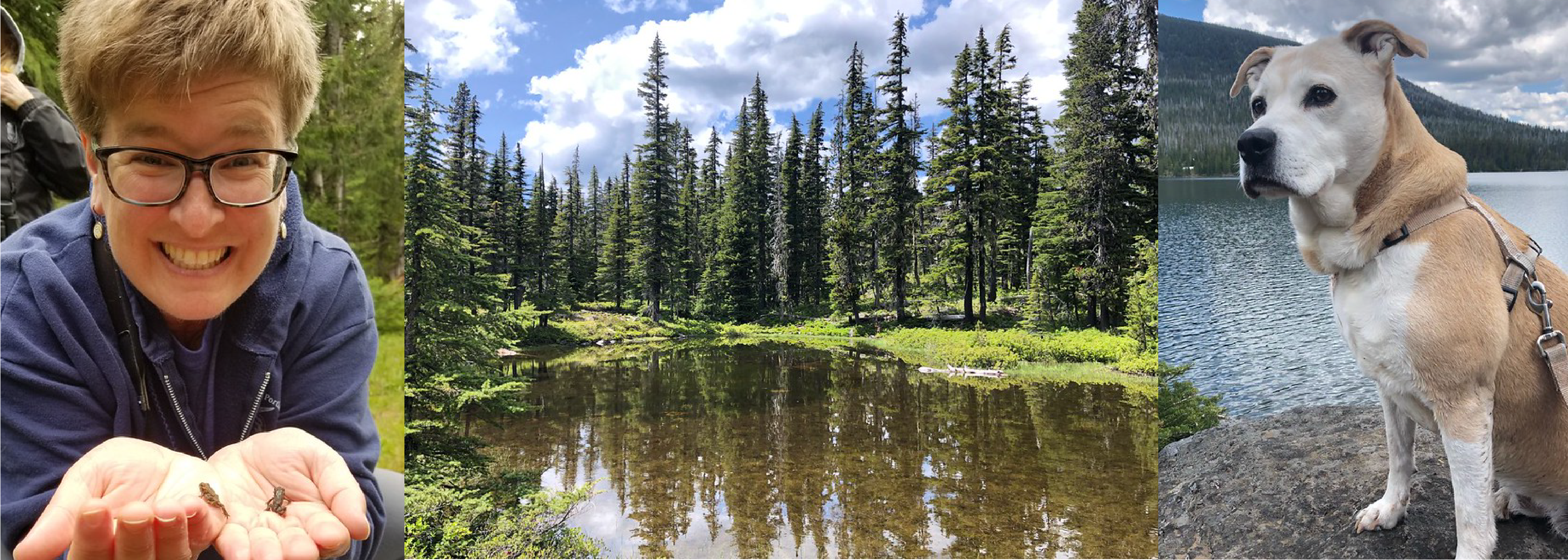 From left to right: Nicki saying hello to two baby toads, the forest we all love, and Nicki's furry friend Gracie enjoying a hike in the forest.