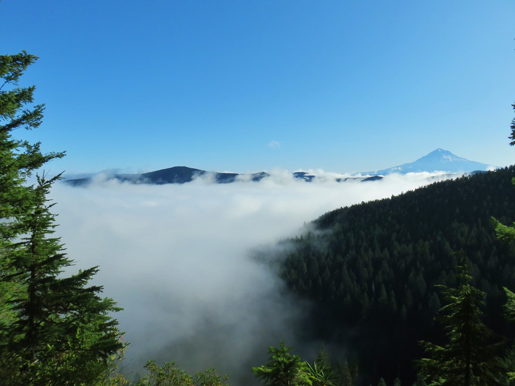 View from Old Baldy Trail