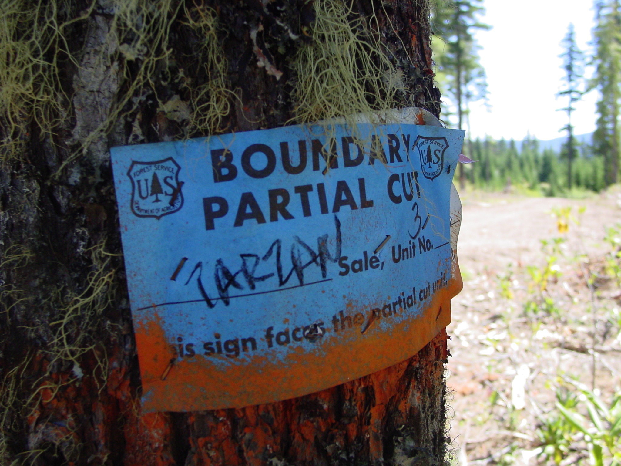 This is a close up photo of a Forest Service boundary sign nailed to a tree in the Tarzan Timber Sale.