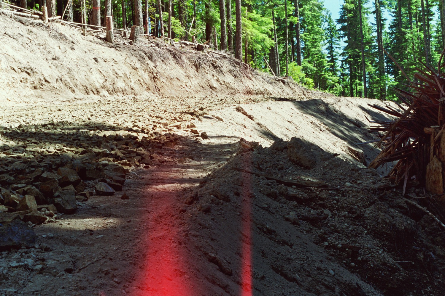 This photo is taken within the Upper Timber Sale soon after the commission of a logging road. The road is mostly sand and gravel and exposed sediment. Many trees are cut closest to the road.