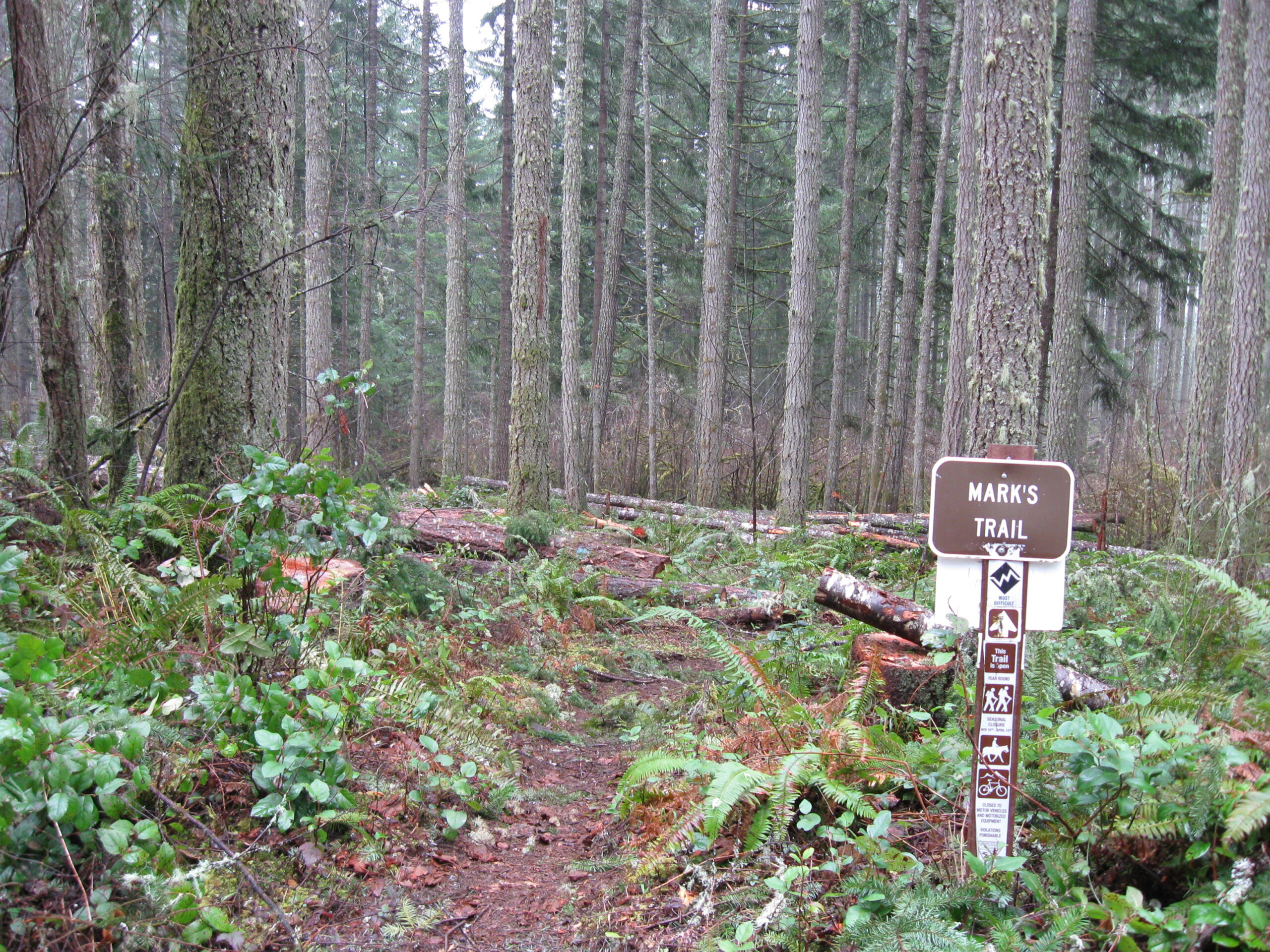 This is a photo of Mark's Trailhead within the Annie's Thinning Timber Sale.