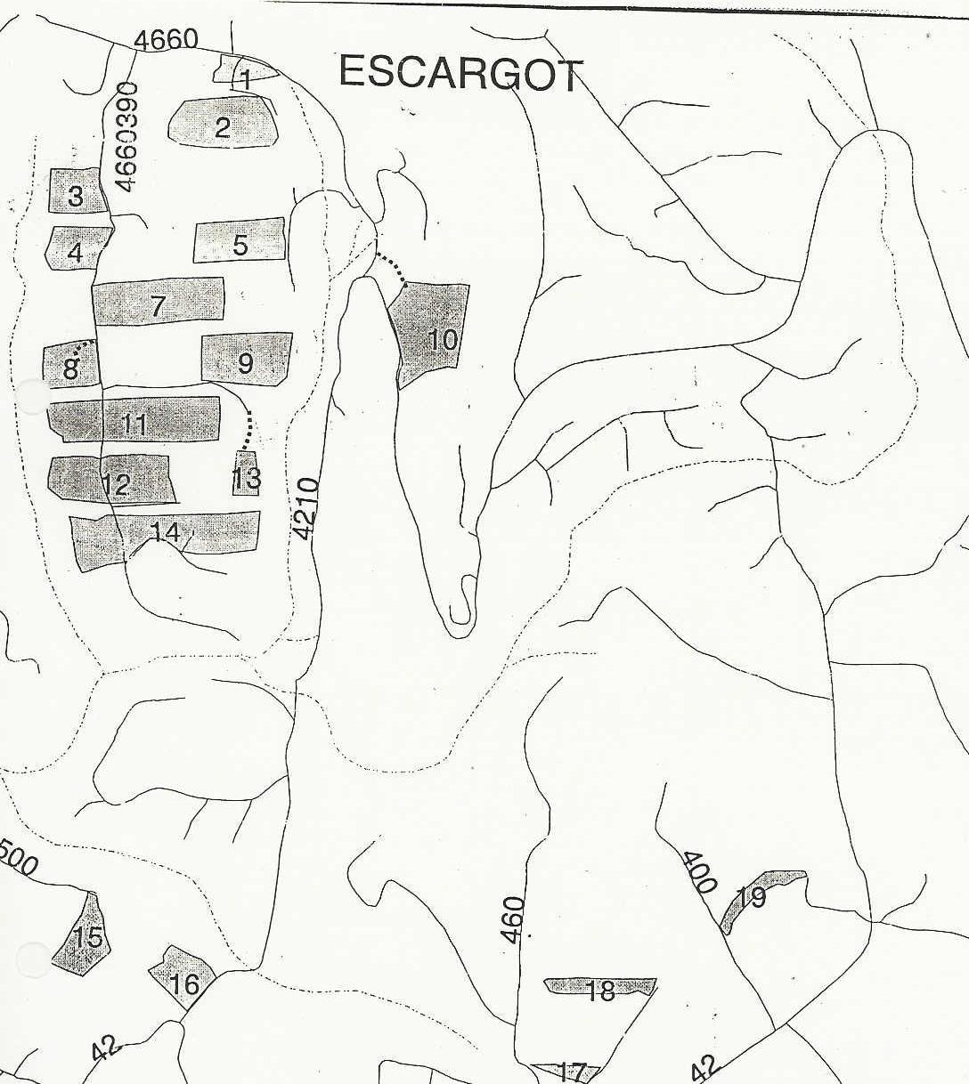 This is a black and white scanned map of the Escargot Timber Sale. There are blocks designating units within the sale.