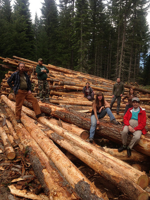 Color photo of a group of Bark Volunteers posed for the camera sitting on a pile of logged, branchless trees. The looks on each of their faces are stern, as the entire scope of the camera is filled by these giant piles.