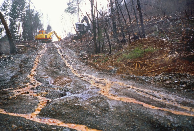 Color photo of orange colored watery run off from a logging road. Up ahead there is a backhoe in a recently logged area of the forest.