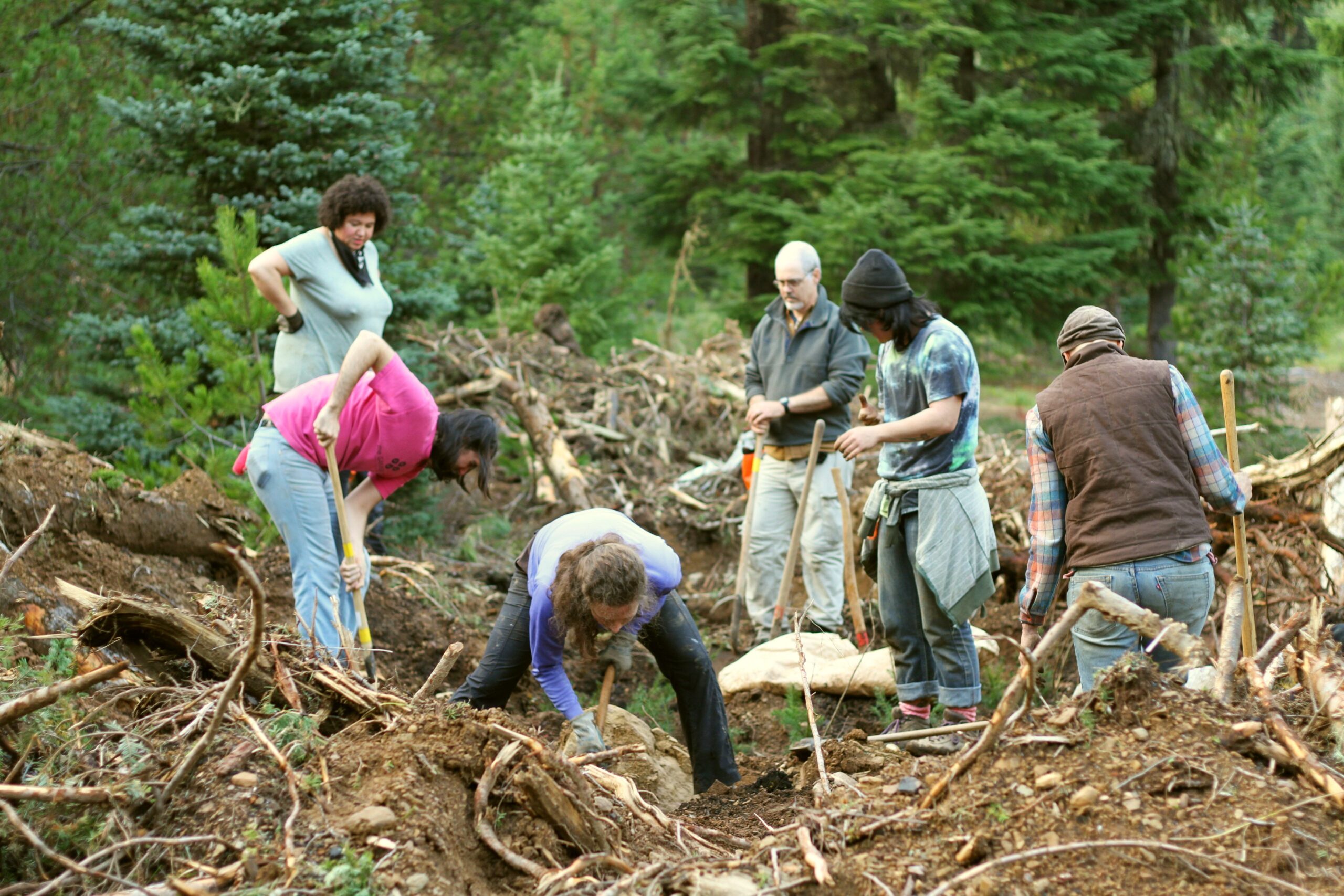 Color photo of a group of Bark volunteers digging in a pile of slash. Some are hunched over shovels while others are taking a moment.