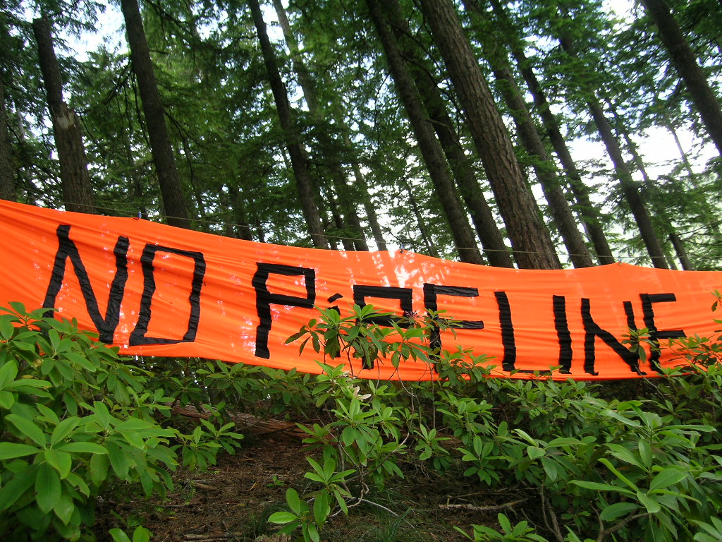 Color photo taken in the forest during the day. The frame is halved by a bright streak of neon orange, a sign that reads no pipeline in black letters.