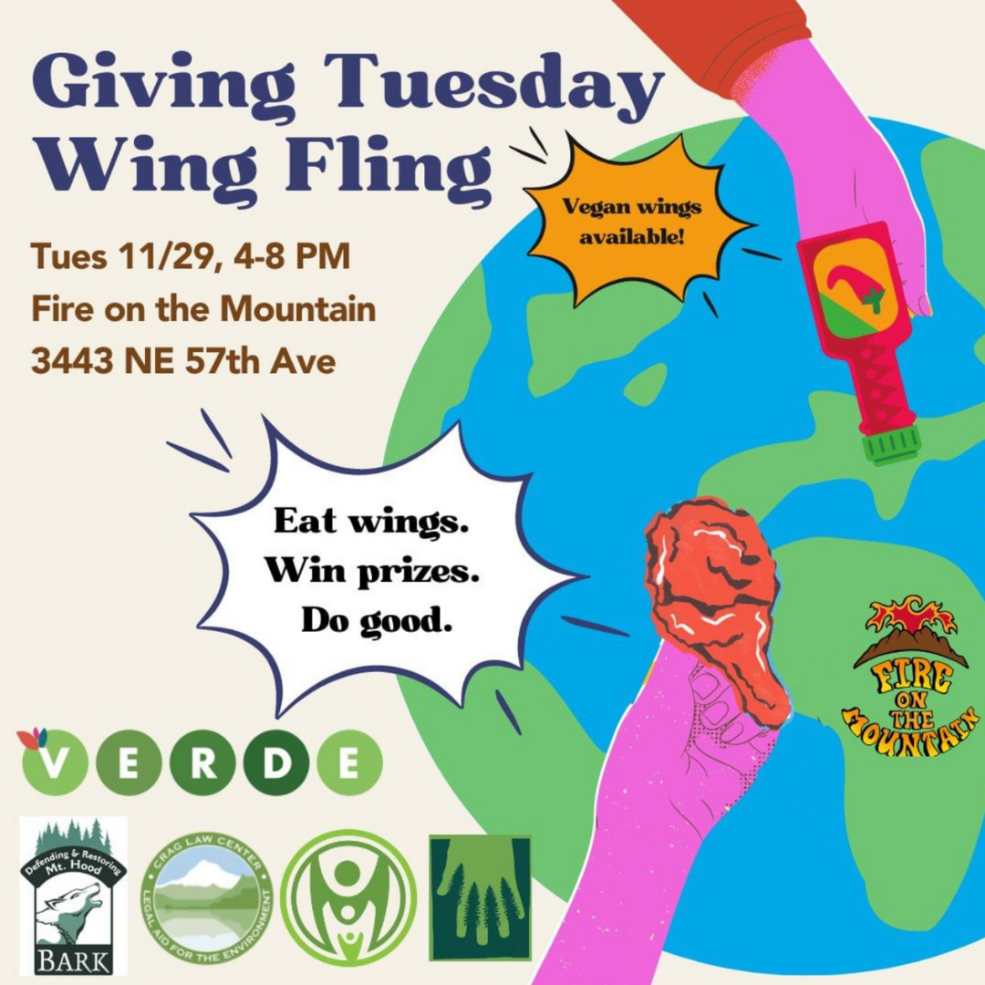 This colorful graphic shows event information for the upcoming Giving Tuesday Wing Fling. This image also shows a drawing of the world behind two bright pink hands -- one holds a salsa bottle while the other has a yummy wing in hand.