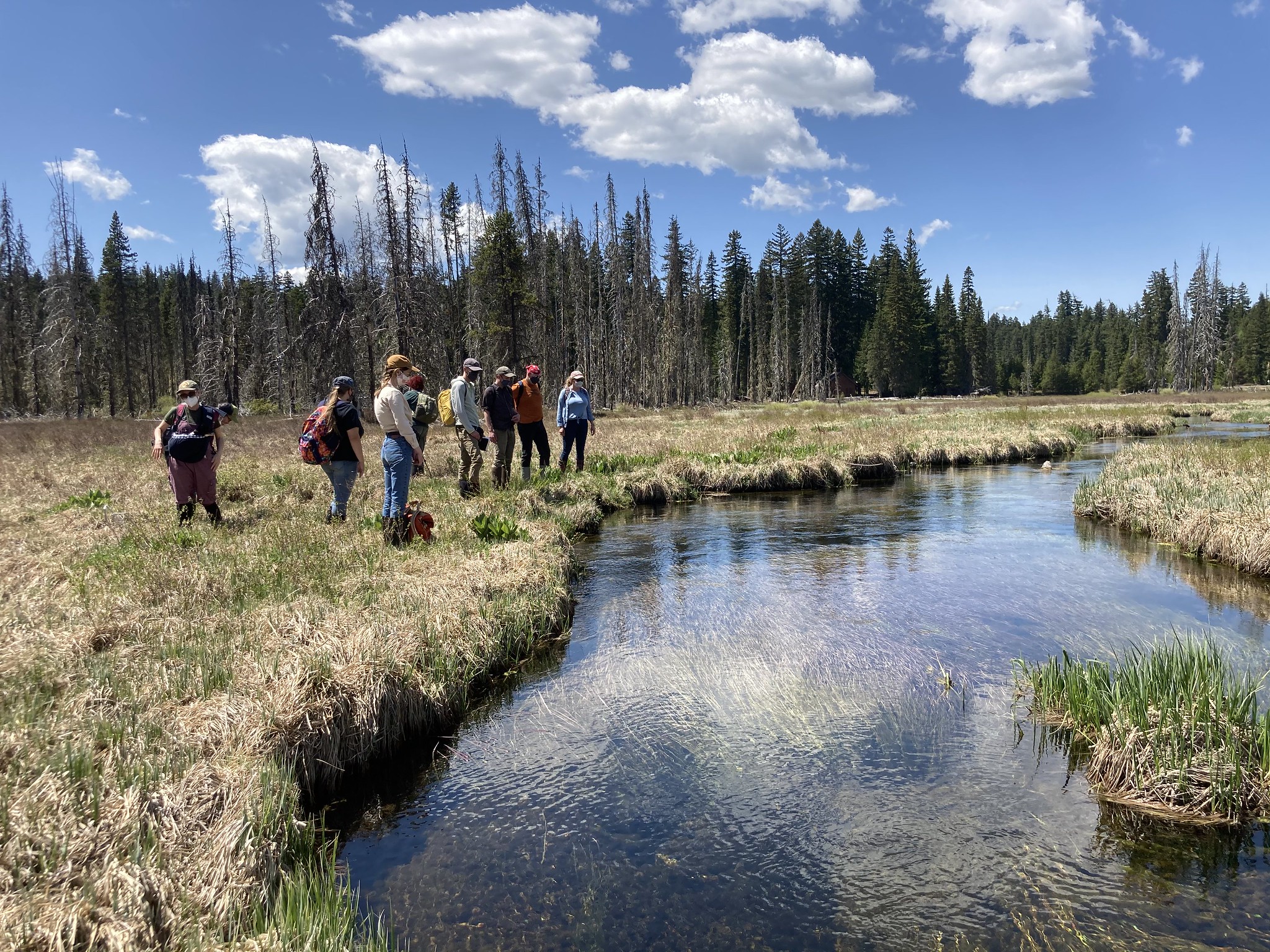 Image shows an open wetland area surrounded by forest and expanding beneath a blue sky. A handful of volunteers stand near the edge of the primary stream, getting ready to survey the area.