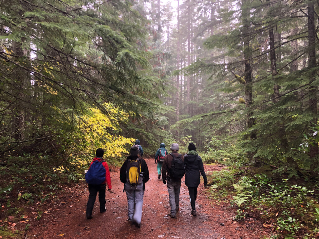 Image shows a group of six volunteers in cold weather clothing (jackets and hats) walking on a red dirt path into a beautiful misty forest beneath bright afternoon light.