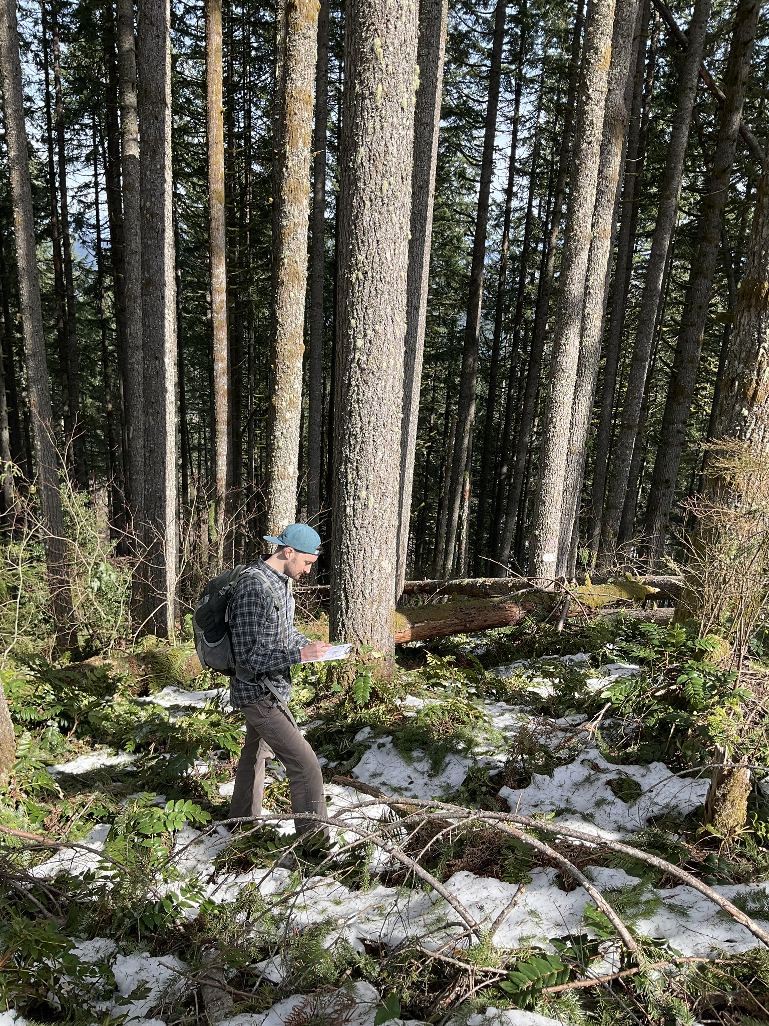 Person writing on a clipboard amongst fallen logs