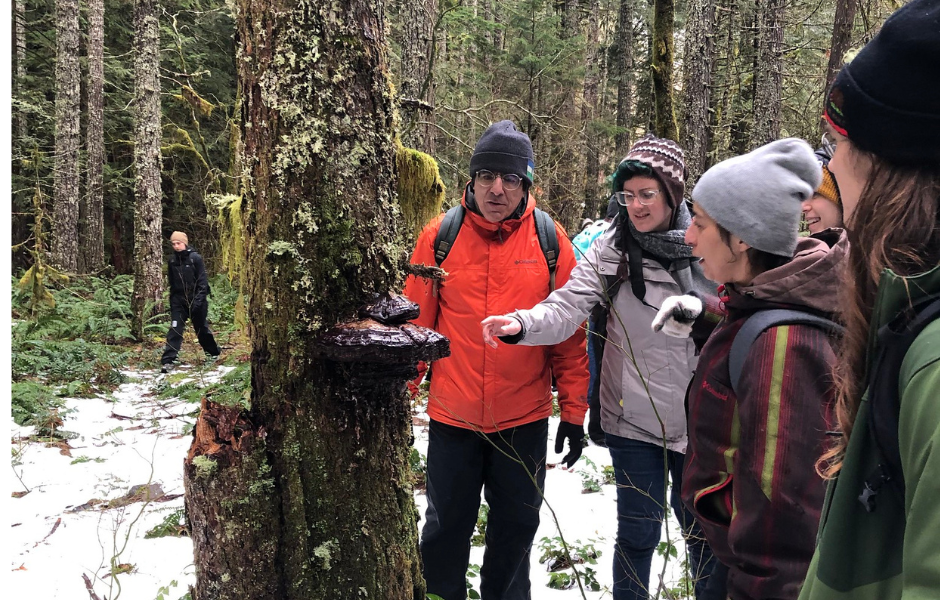 This image shows a group of volunteers examining a shelf mushroom on a tree in a wintery forest scene.